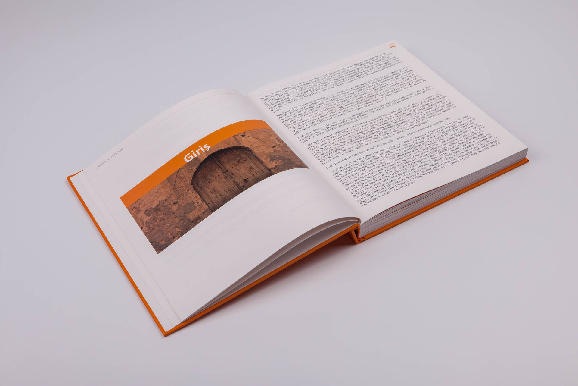 GELİŞİMİN GURUR DOLU ON YILI