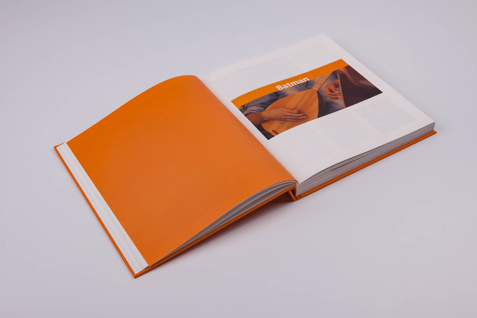 GELİŞİMİN GURUR DOLU ON YILI