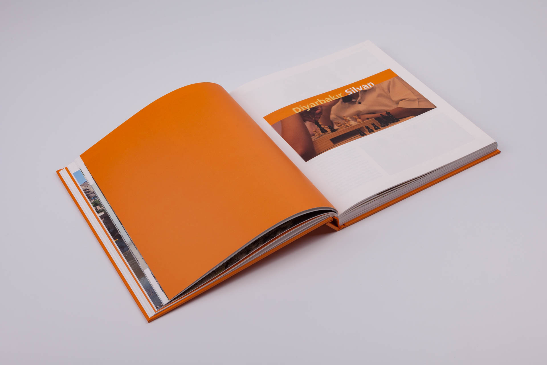 GELİŞİMİN GURUR DOLU ON YILI