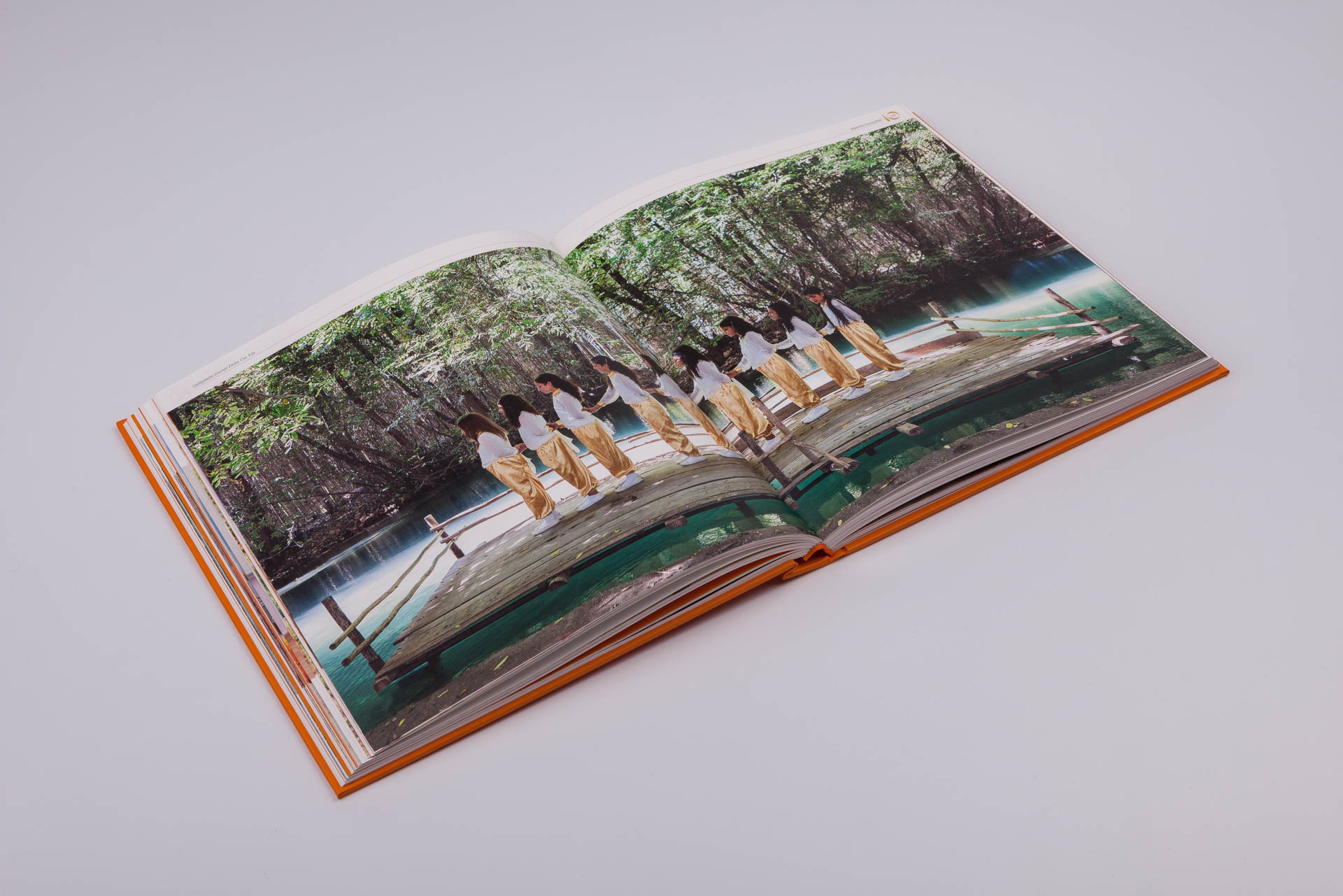 GELİŞİMİN GURUR DOLU ON YILI